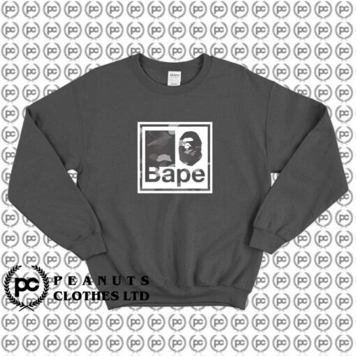 BAPE Gardation Camo Quadrangle d