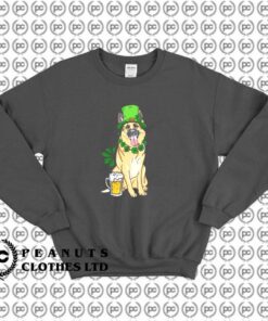 Patrick’s Day Dog With Beer f