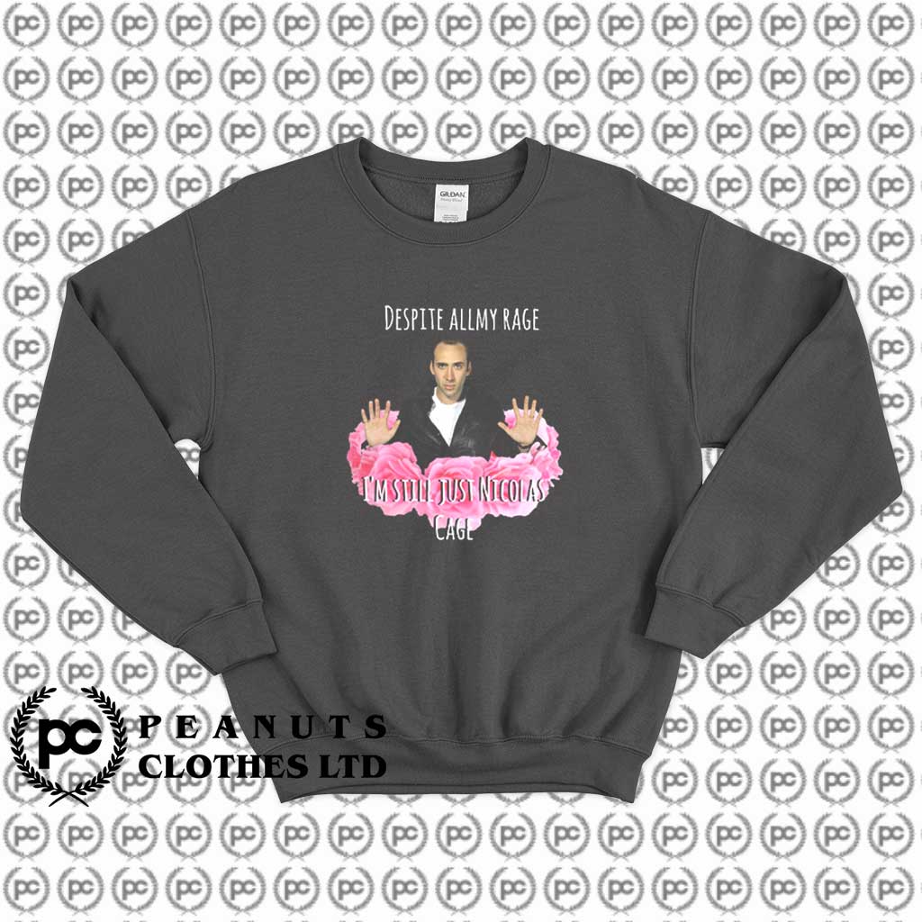 Nicolas Cage Despite Allmy Rage