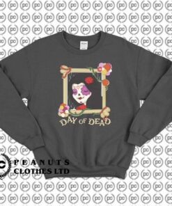 Perfect Day of the Dead Celebrations F