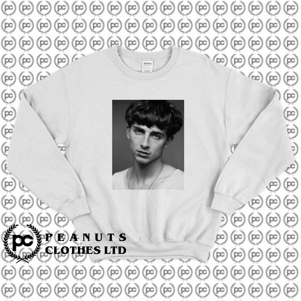 Timothee Chalamet Monochrome Vintage c