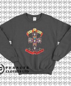 Appetite For Destruction Guns N Roses f