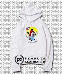 Animaniacs Wakko Totally Insaney
