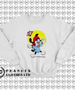 Animaniacs Wakko Totally Insaney Vintage
