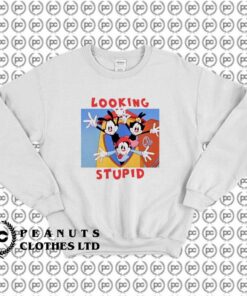 Looking Stupid Animaniacs Funny Cartoon l