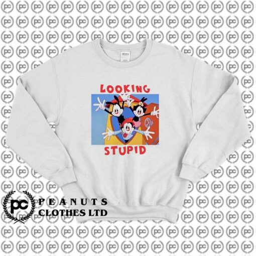 Looking Stupid Animaniacs Funny Cartoon l