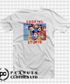 Looking Stupid Animaniacs Funny Cartoon lx