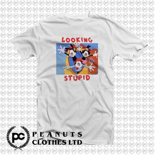 Looking Stupid Animaniacs Funny Cartoon lx