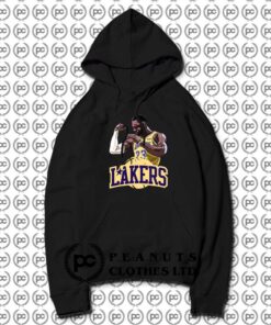 LeBron James Los Angeles Lakers