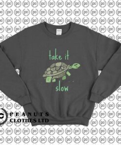 Take it Slow Cute Turtle Motivational k