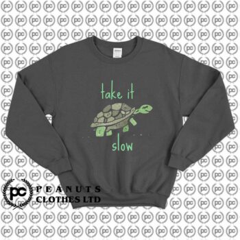 Take it Slow Cute Turtle Motivational k