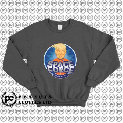 Space Force Because Why Not Meme