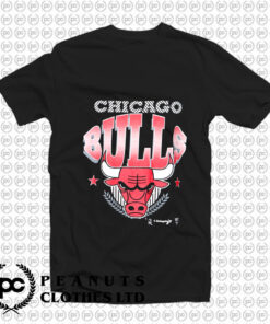 Chicago Bulls Graphic Single Stitch T Shirt