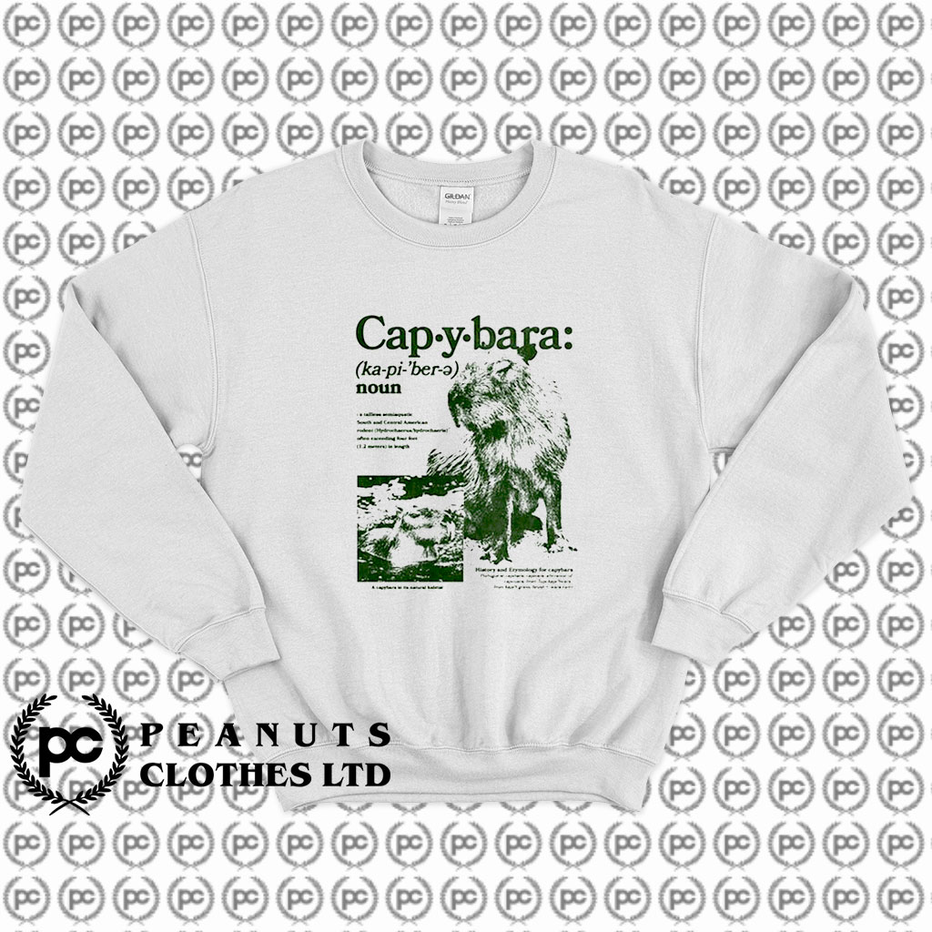 Defined Capybara Sweatshirt