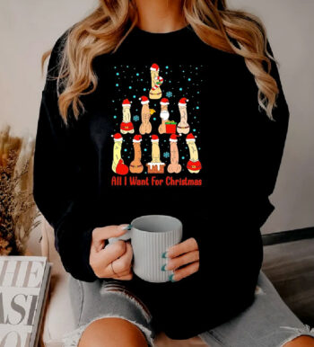 Penis Santa Claus All I Want For Christmas Sweatshirt